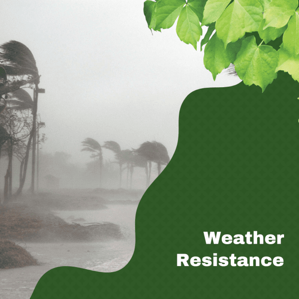 Slim Sheds- Small garden - weather resistance Spanbilt Direct